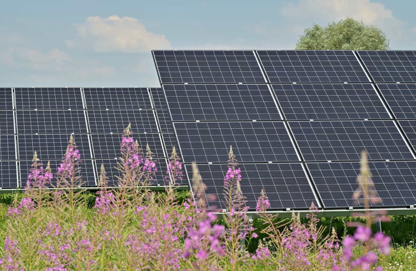 Facts about solar panel brands